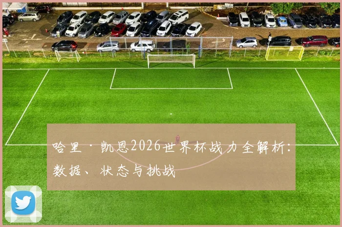 哈里·凯恩2026世界杯战力全解析:数据、状态与挑战