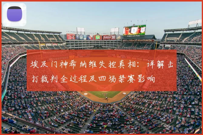 埃及门神希纳维失控真相：详解击打裁判全过程及四场禁赛影响