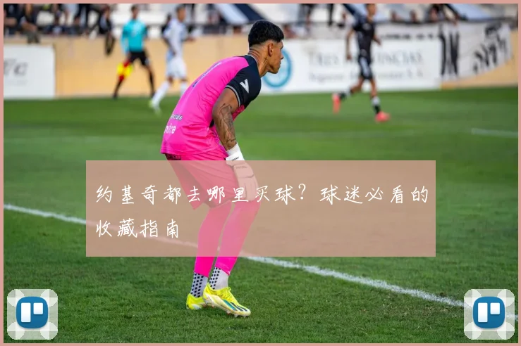 约基奇都去哪里买球？球迷必看的收藏指南